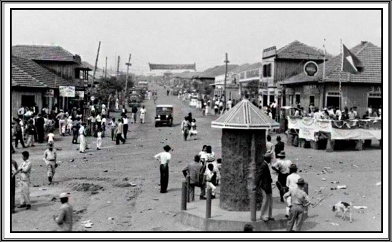 Nova Esperança PR – 1954 – Praça Pirapó (atual Mello Plaheta) e o Pau do Silveira.