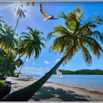 Ilha de Pernambuco - Uma Ilha de Pernambuco