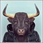 O CORNO Corno.2