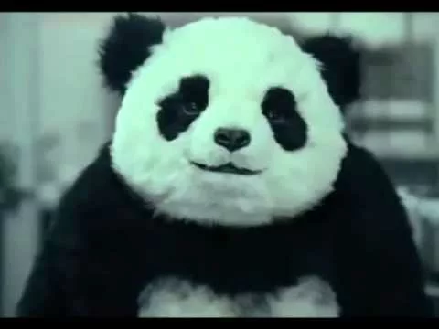 Cuidado com o Panda - Propaganda