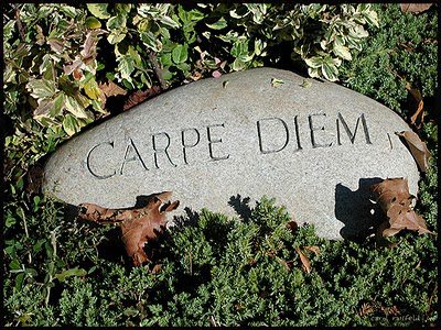 Carpe Diem